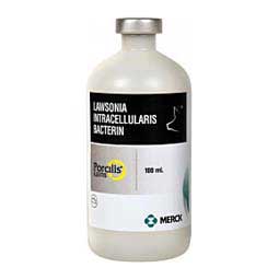 Porcilis Ileitis Swine Vaccine  Merck